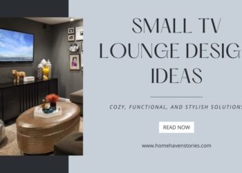 Small TV Lounge Design Ideas