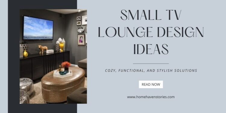 Small TV Lounge Design Ideas